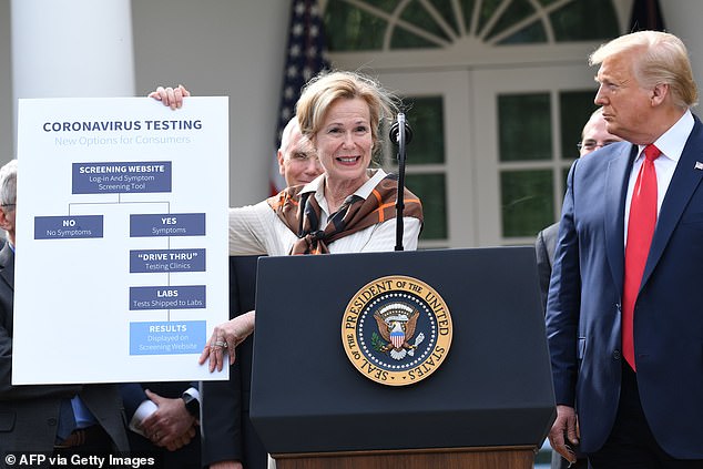 Dr. Deborah Birx, the White House's coronavirus response coordinator, holds up a chart showing how the new coronavirus website is proposed to work