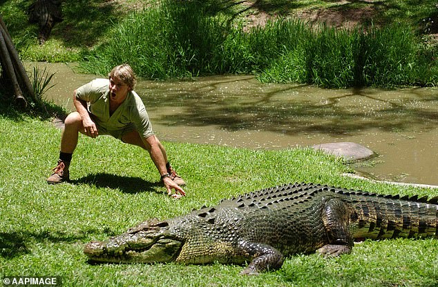 Several fans pointed out that when Irwin 'wrestled' crocodiles, he did so to move them out of areas where they were likely to be hunted