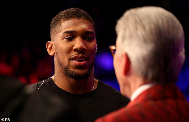 Wilder, Whyte and Fury: if you think you can beat Anthony Joshua, come and get him